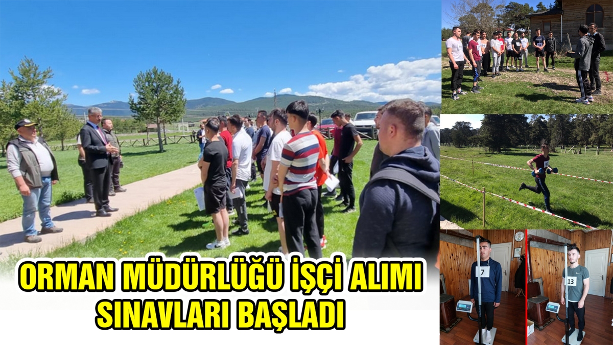 Orman Müdürlüğü işçi alımı sınavları başladı