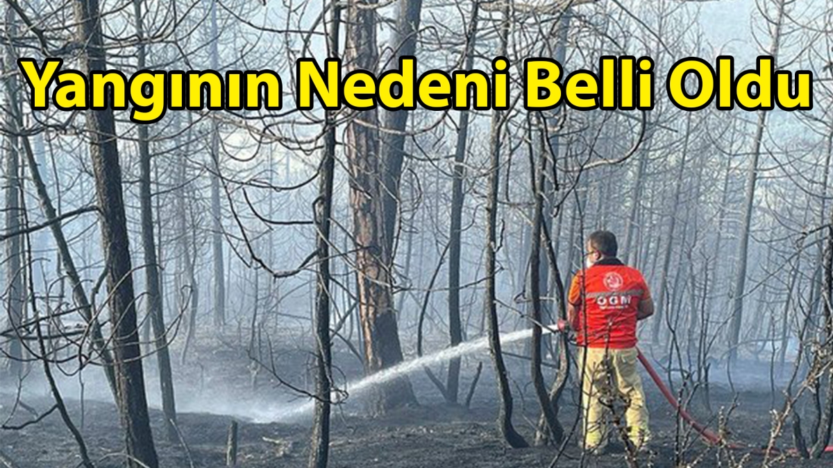 Yangının Nedeni Belli Oldu