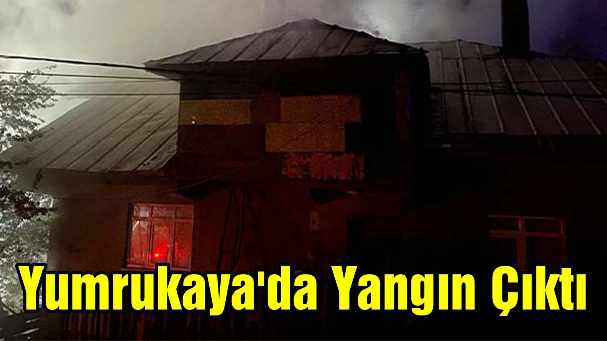 Yumrukaya'da Yangın Çıktı