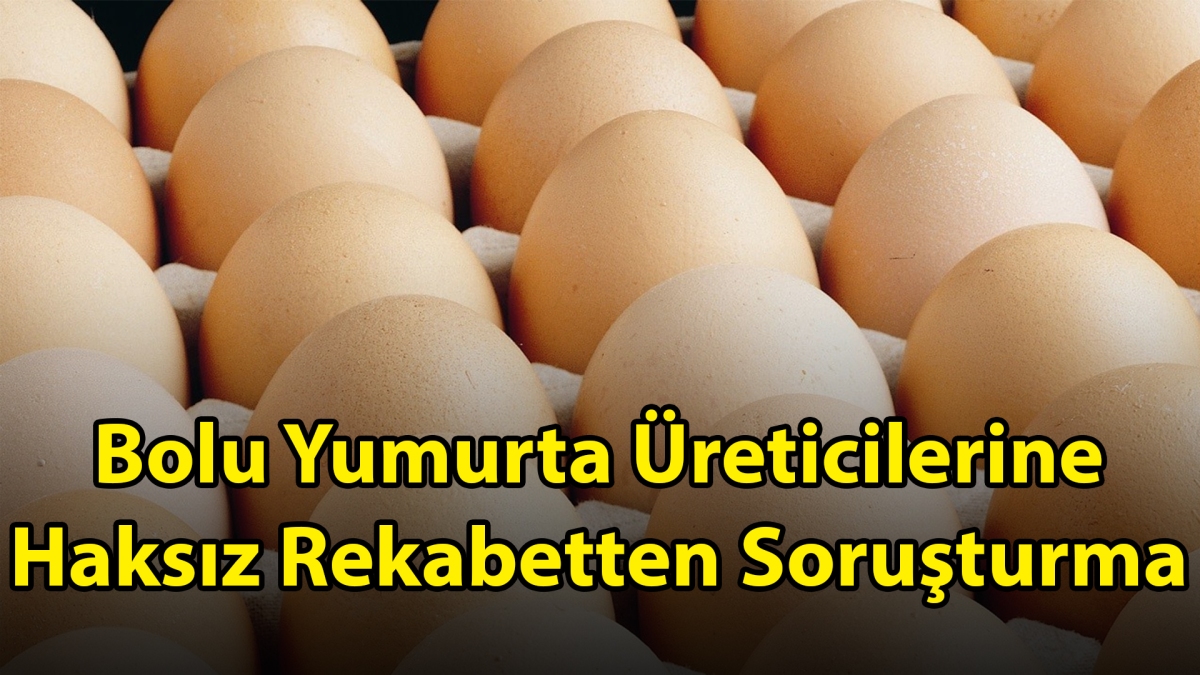 Bolu Yumurta Üreticilerine Haksız Rekabetten Soruşturma