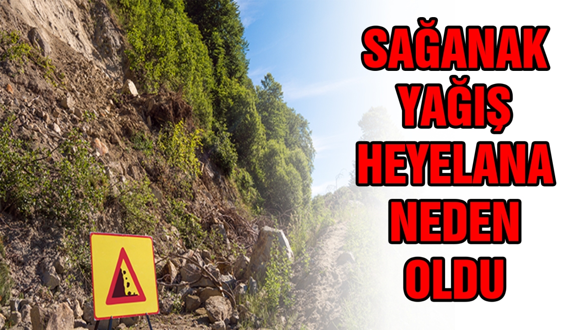 Sağanak yağış heyelana neden oldu