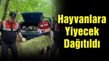 Hayvanlara Yiyecek Dağıtıldı