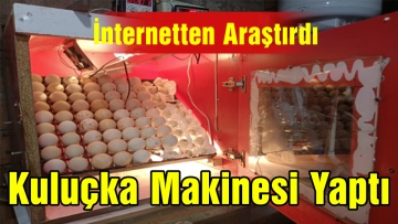 İnternetten Araştırarak Kuluçka Makinesi Yaptı