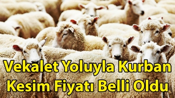 Vekalet Yoluyla Kurban Kesim Fiyatı Belli Oldu
