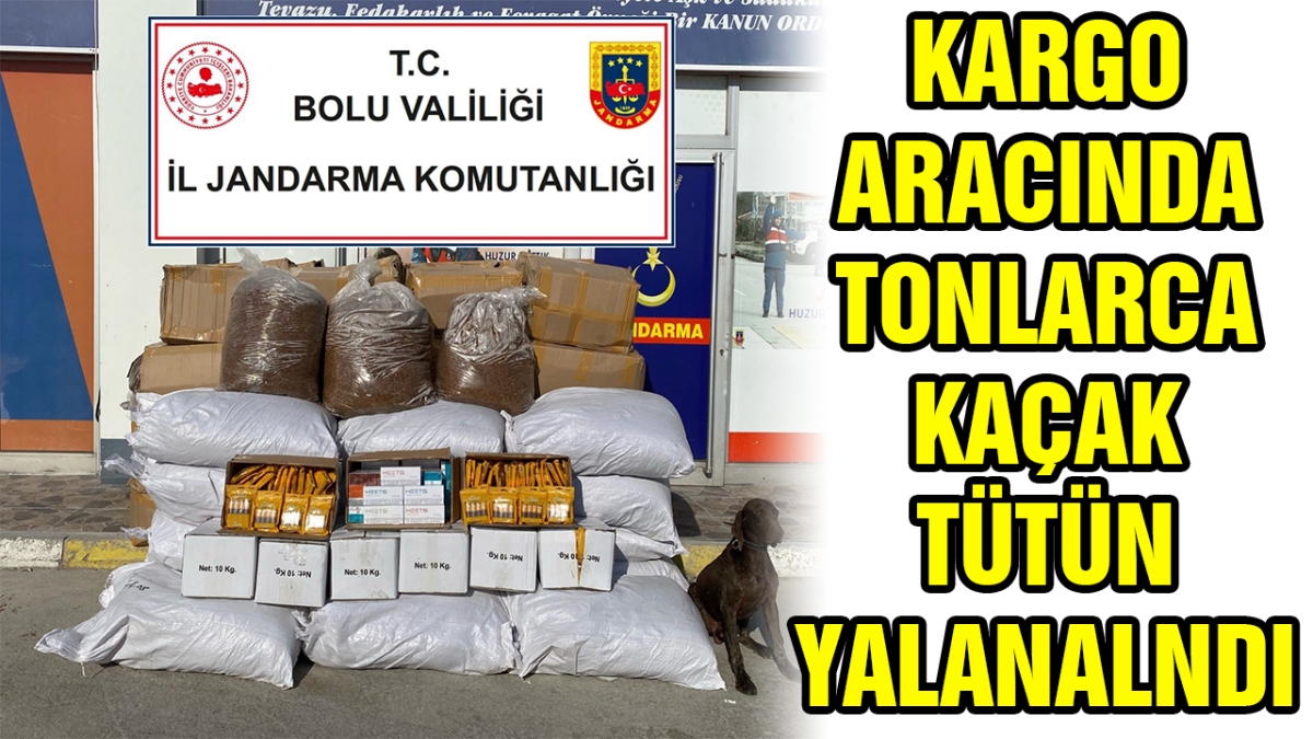 Kargo aracında tonlarca kaçak tütün yakalandı