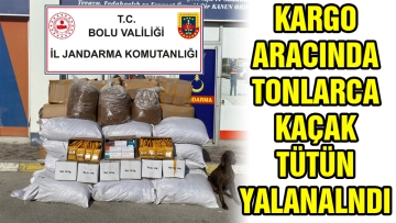 Kargo aracında tonlarca kaçak tütün yakalandı