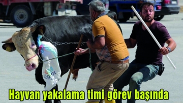 Hayvan Yakalama Timi Görev Başında