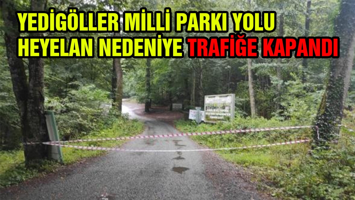 Yedigöller Milli Parkı Yolu Heyelan Nedeniyle Trafiğe Kapandı