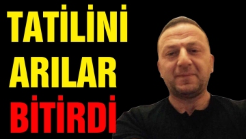 TATİLİNİ ARILAR BİTİRDİ