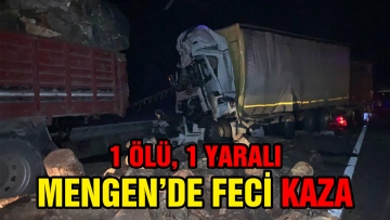 MENGEN'DE FECİ KAZA