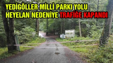 Yedigöller Milli Parkı Yolu Heyelan Nedeniyle Trafiğe Kapandı