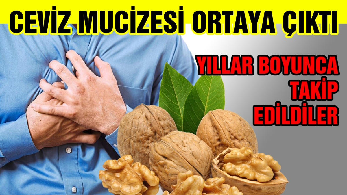 Ceviz mucizesi ortaya çıktı