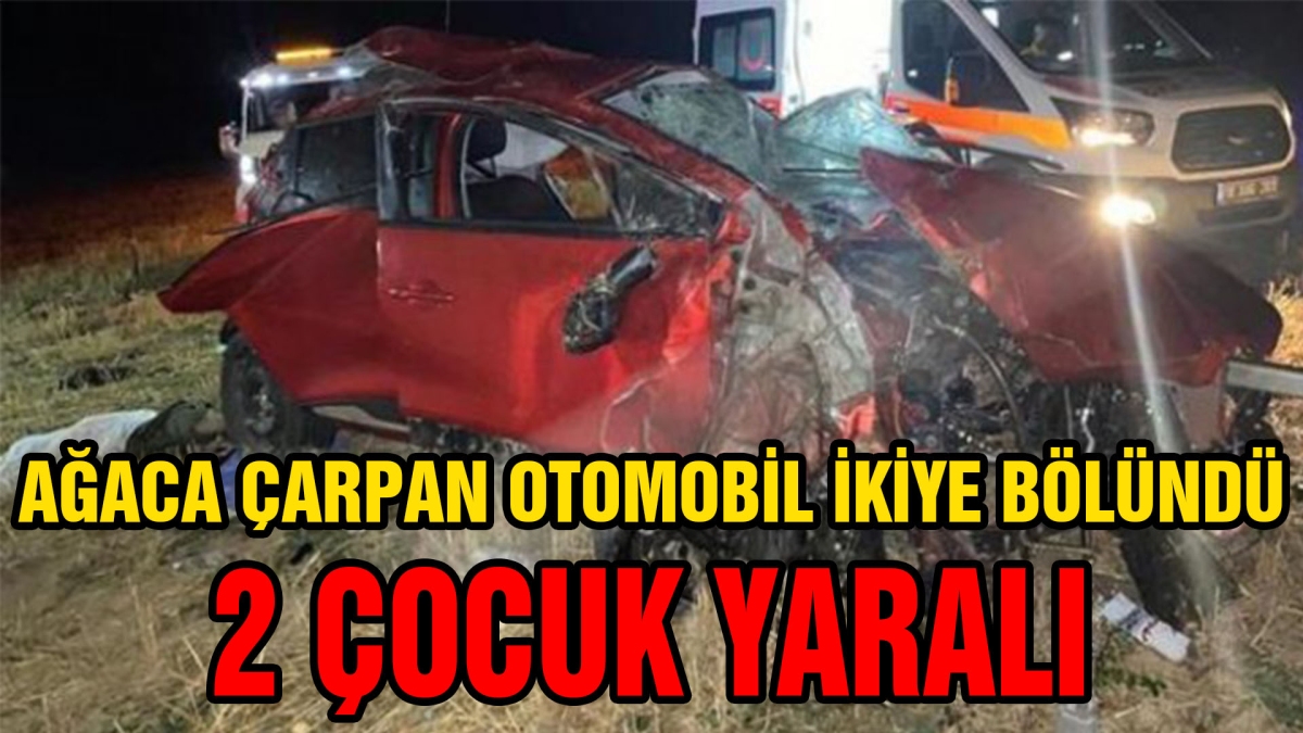 AĞACA ÇARPAN OTOMOBİL İKİYE BÖLÜNDÜ