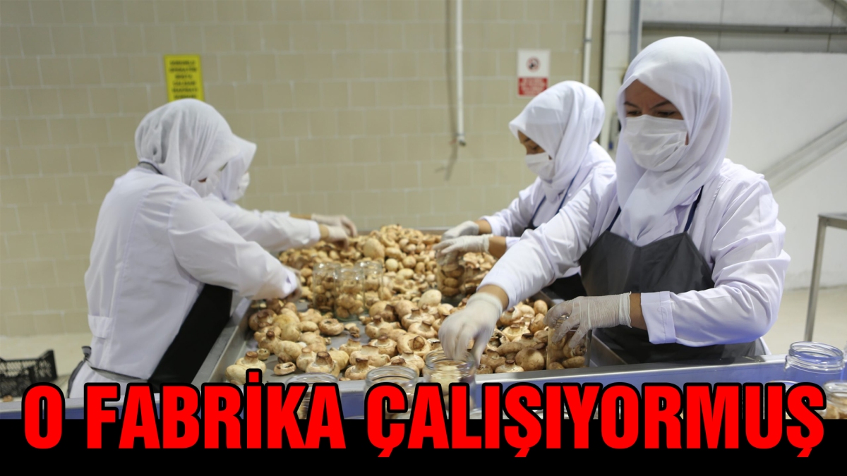 O fabrika çalışıyormuş