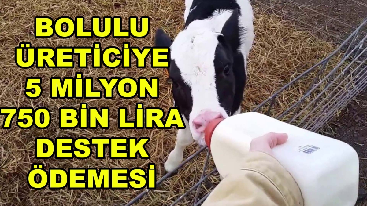 Bolulu üreticiye 5 milyon 750 bin lira destek ödemesi