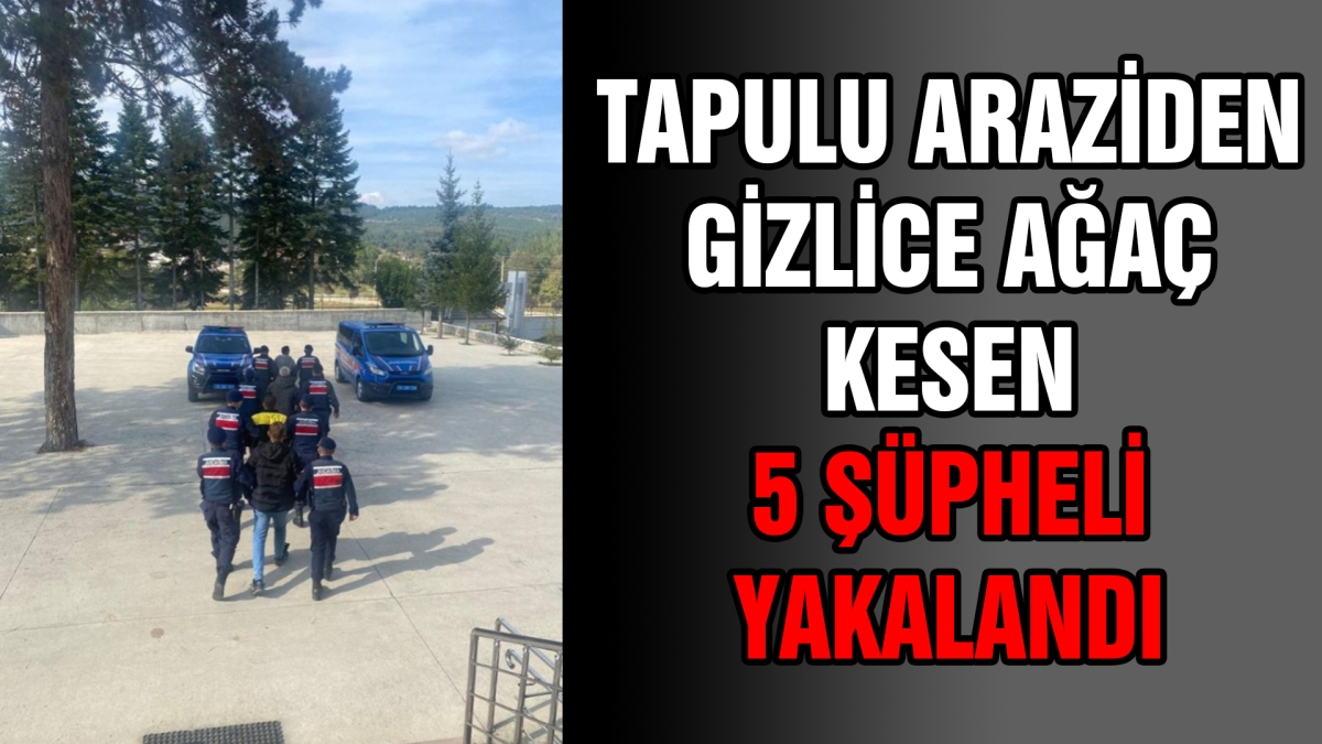 Tapulu araziden gizlice ağaç kesen 5 şüpheli yakanlandı