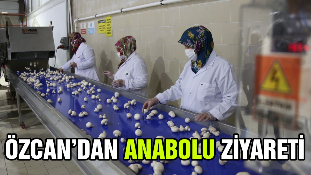 Anabolu'da Anadolu Kadınları  