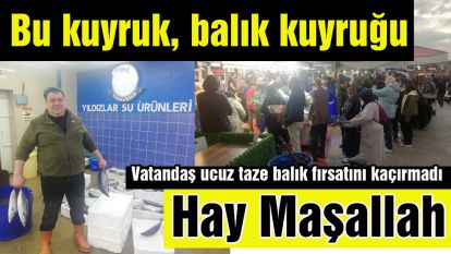 Bu kuyruk balık kuyruğu