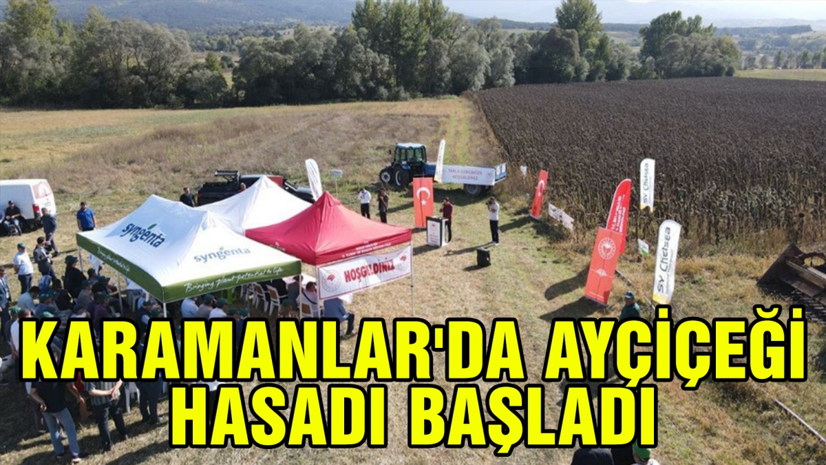 KARAMANLAR'DA AYÇİÇEĞİ HASADI BAŞLADI