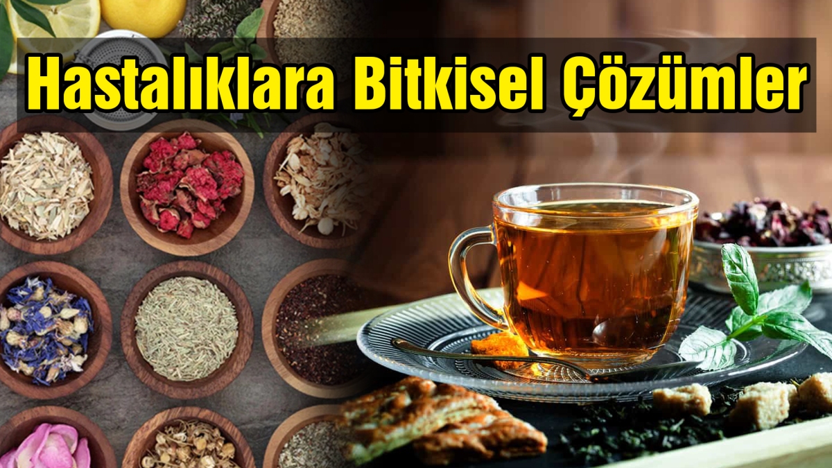 Hastalıklara Bitkisel Çözümler 