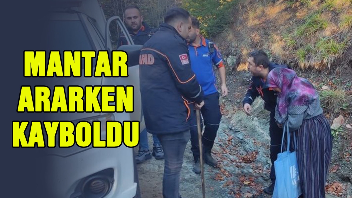 MANTAR ARARKEN KAYBOLDU