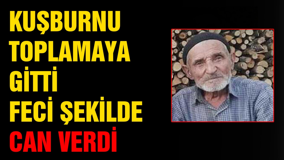 YAŞLI ADAM DEVRİLEN TRAKTÖRÜN ALTINDA KALARAK CAN VERDİ