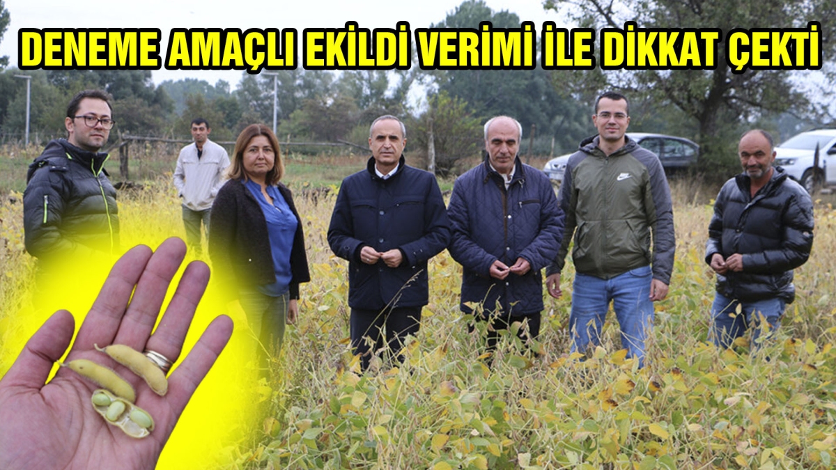 DENEME AMAÇLI EKİLDİ VERİMİ İLE DİKKATLERİ ÇEKTİ