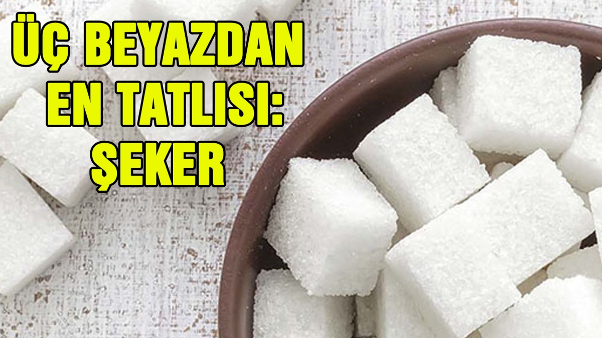 ÜÇ BEYAZDAN EN TATLISI: ŞEKER 