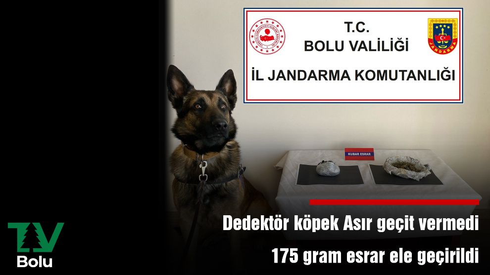 Dedektör köpek Asır geçit vermedi 175 gram esrar ele geçirildi