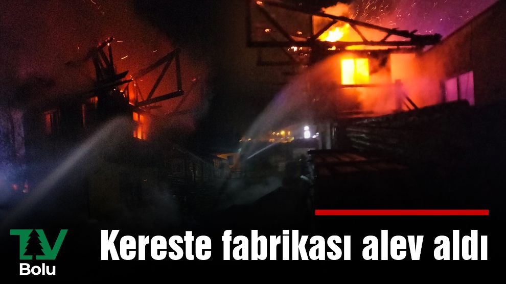 Kereste fabrikası alev aldı