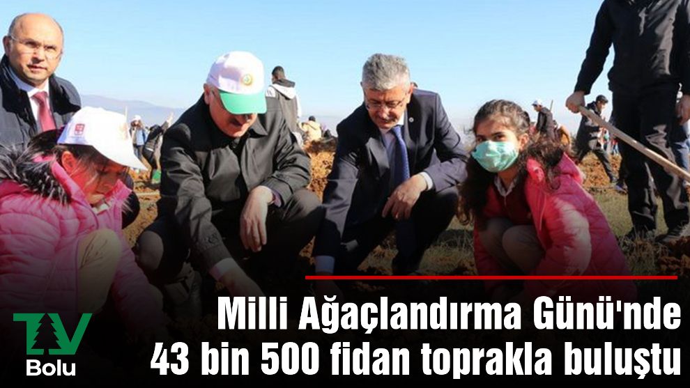 Milli Ağaçlandırma Günü'nde 43 bin 500 fidan toprakla buluştu