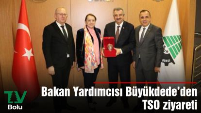 Bakan Yardımcısı Büyükdede'den  TSO ziyareti