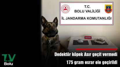 Dedektör köpek Asır geçit vermedi 175 gram esrar ele geçirildi