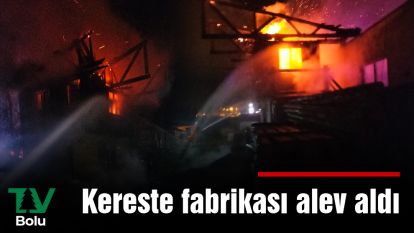 Kereste fabrikası alev aldı
