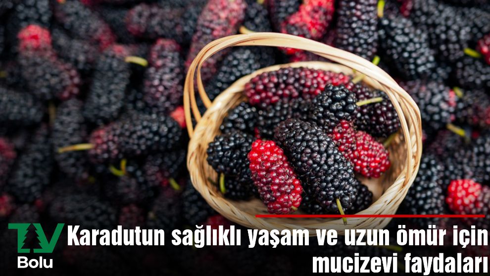 Karadutun sağlıklı yaşam ve uzun ömür için mucizevi faydaları