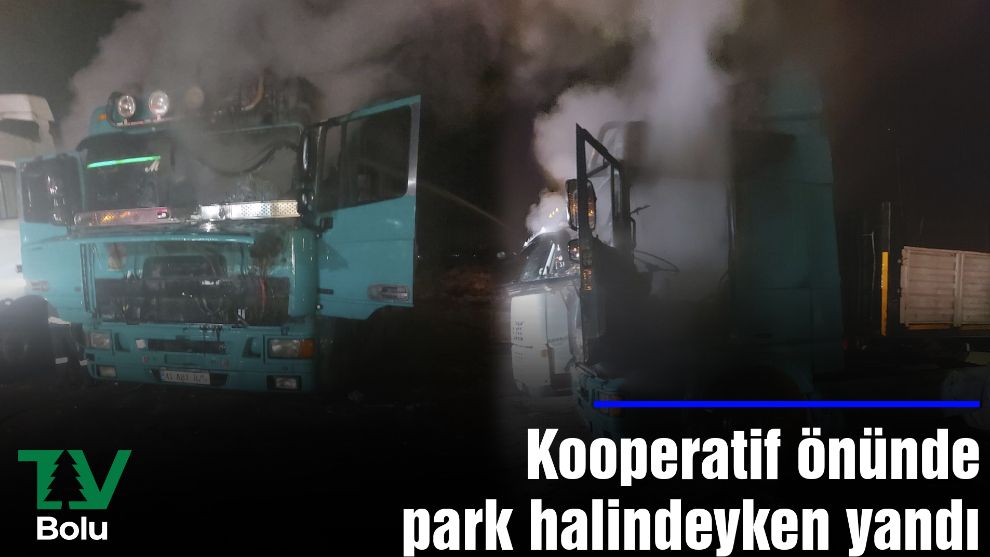 Kooperatif önünde park halindeyken yandı