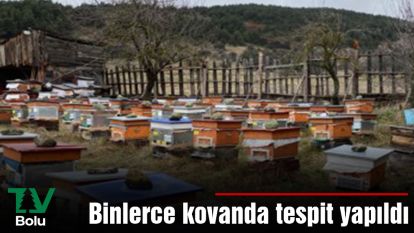 Binlerce kovanda tespit yapıldı