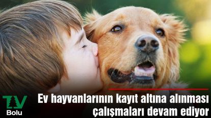 Ev hayvanlarının kayıt altına alınması çalışmaları devam ediyor