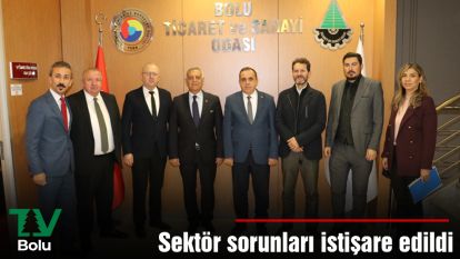 Sektör sorunları istişare edildi