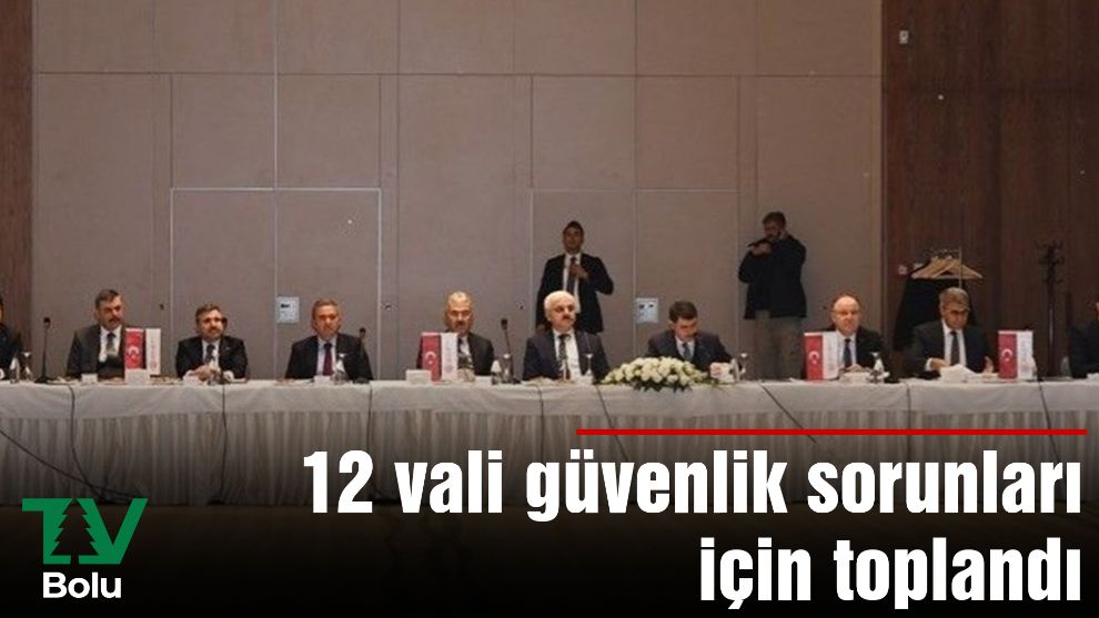 12 vali güvenlik sorunları için toplandı