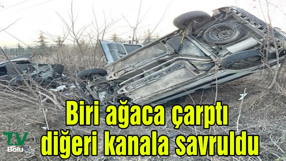Biri ağaca çarptı diğeri kanala savruldu
