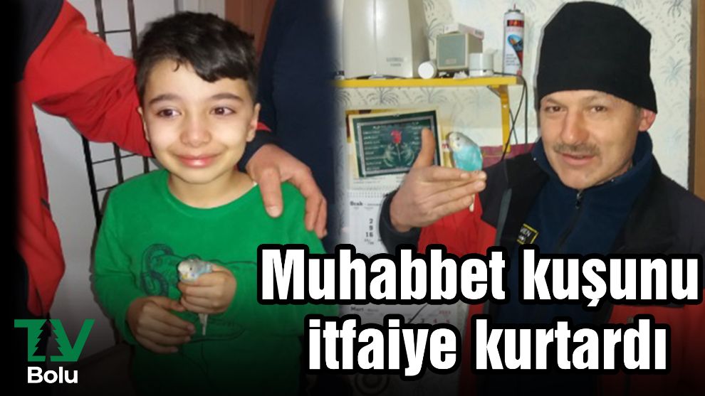 Muhabbet kuşunu itfaiye kurtardı