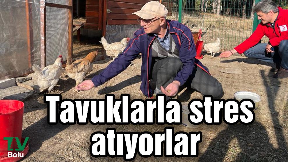 Tavuklarla stres atıyorlar