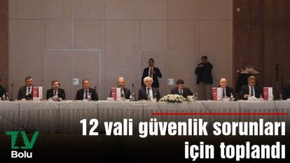 12 vali güvenlik sorunları için toplandı