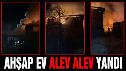 Ahşap ev alevlere teslim oldu