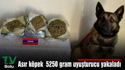 Asır köpek  5250 gram uyuşturucu yakaladı