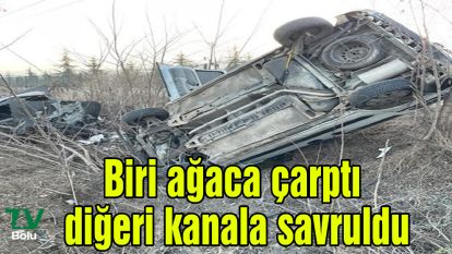 Biri ağaca çarptı diğeri kanala savruldu