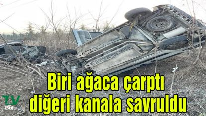 Biri ağaca çarptı diğeri kanala savruldu