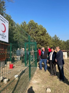 Tavuklarla stres atıyorlar