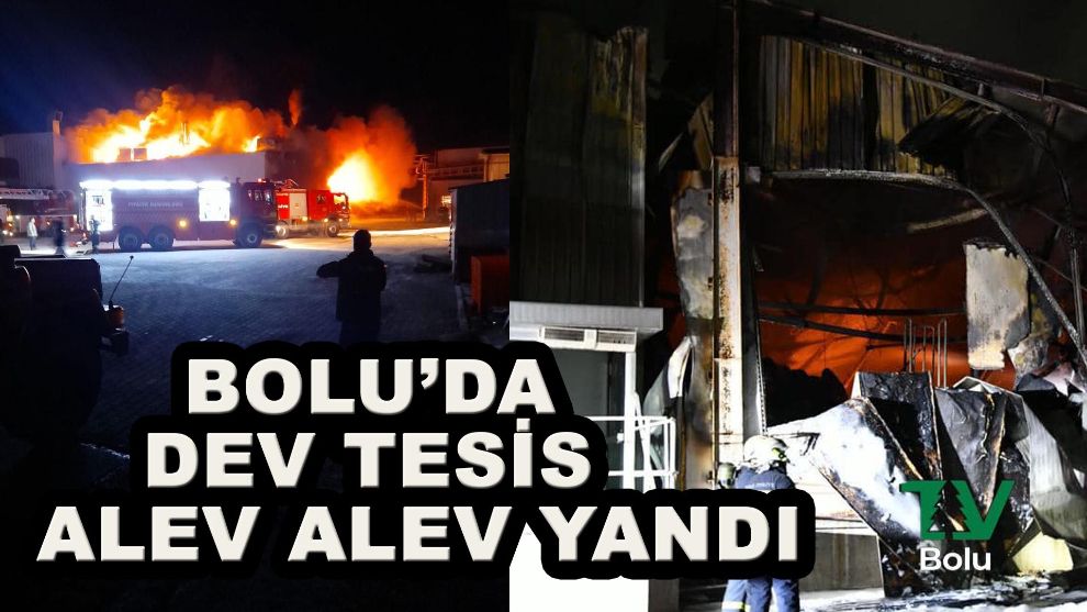 Bolu'da dev tesis alev alev yandı